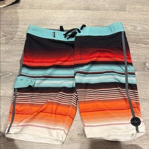 Rip Curl Men's Multicolor Striped Board Shorts